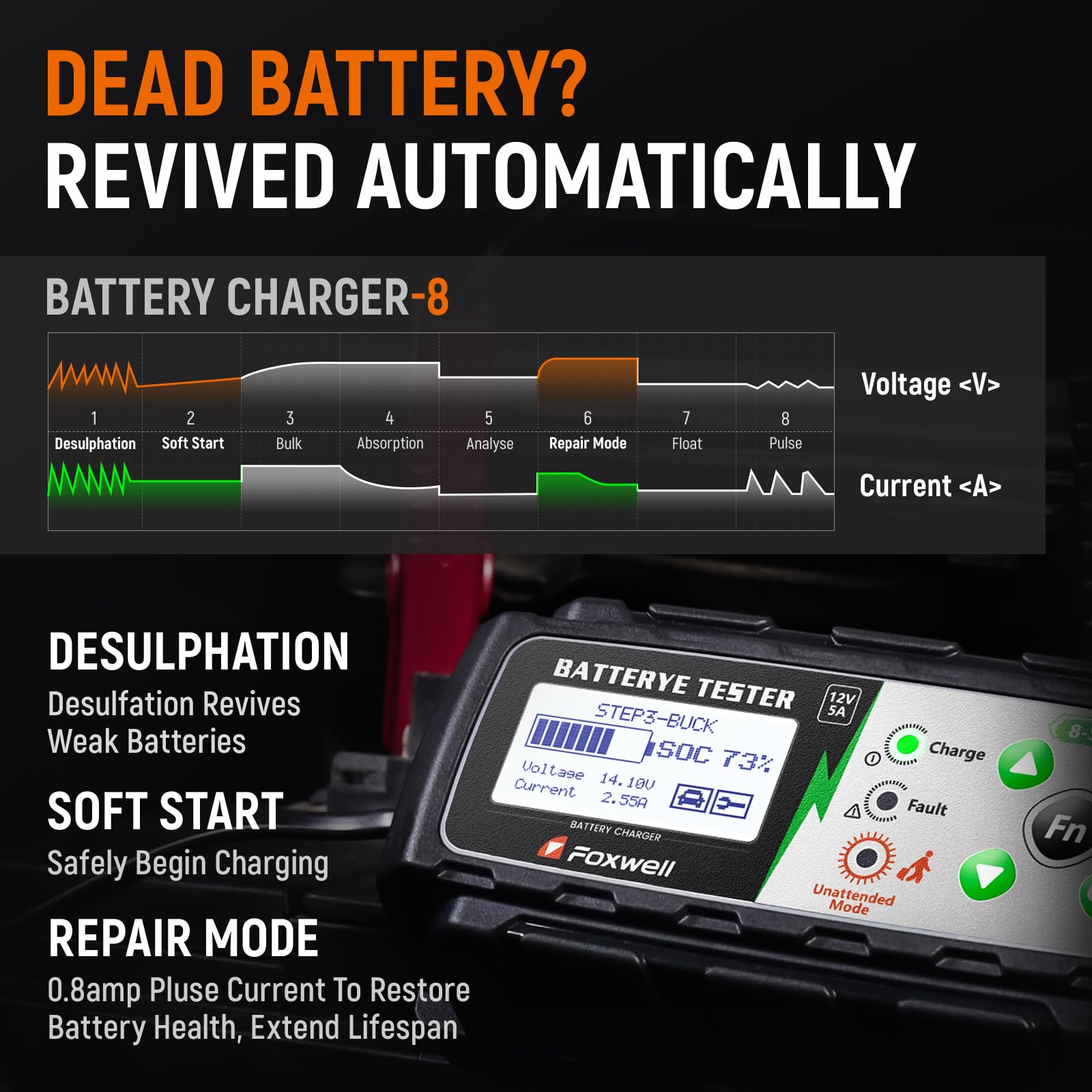 12V Battery Charger, Tester & Desulfator Kit