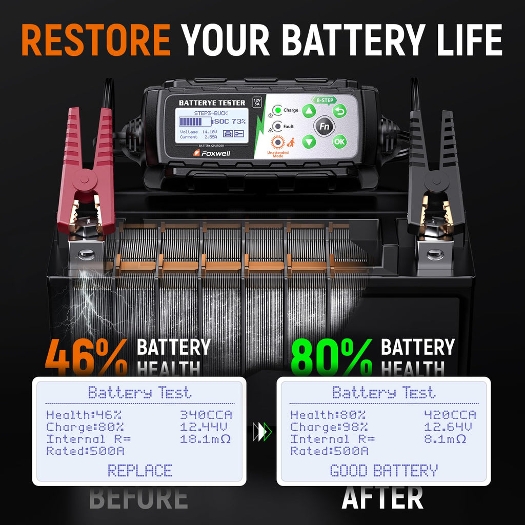 12V Battery Charger, Tester & Desulfator Kit